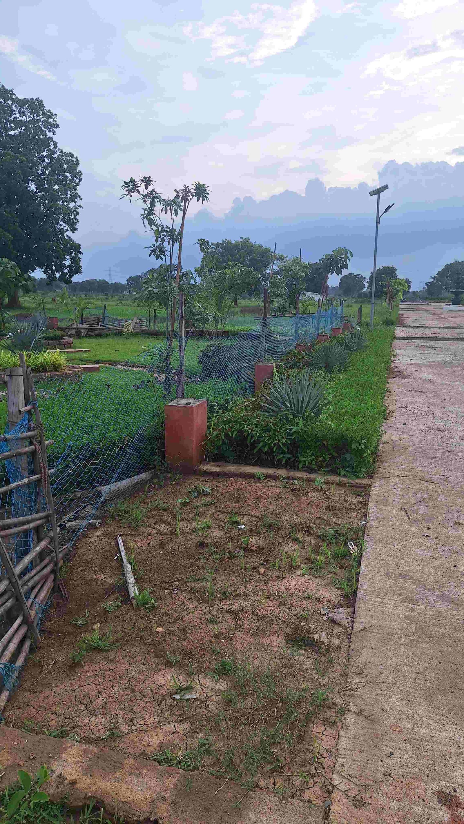 SAI MAYA