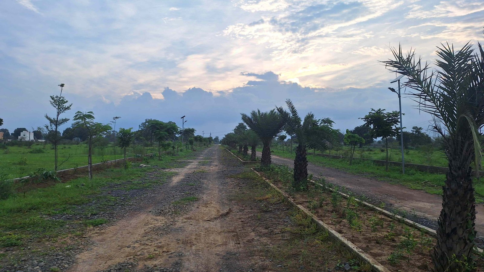 SAI MAYA