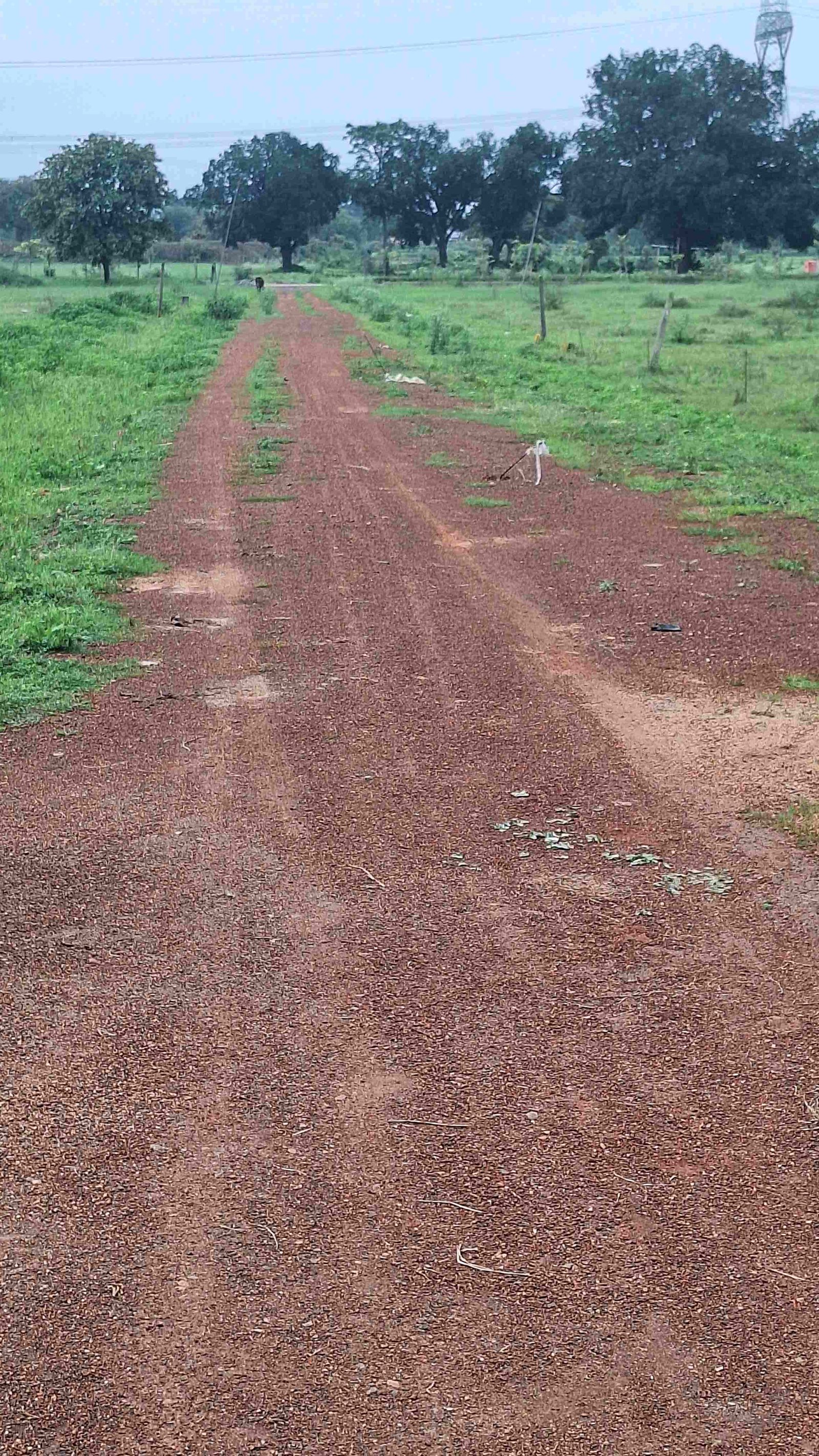 SAI MAYA