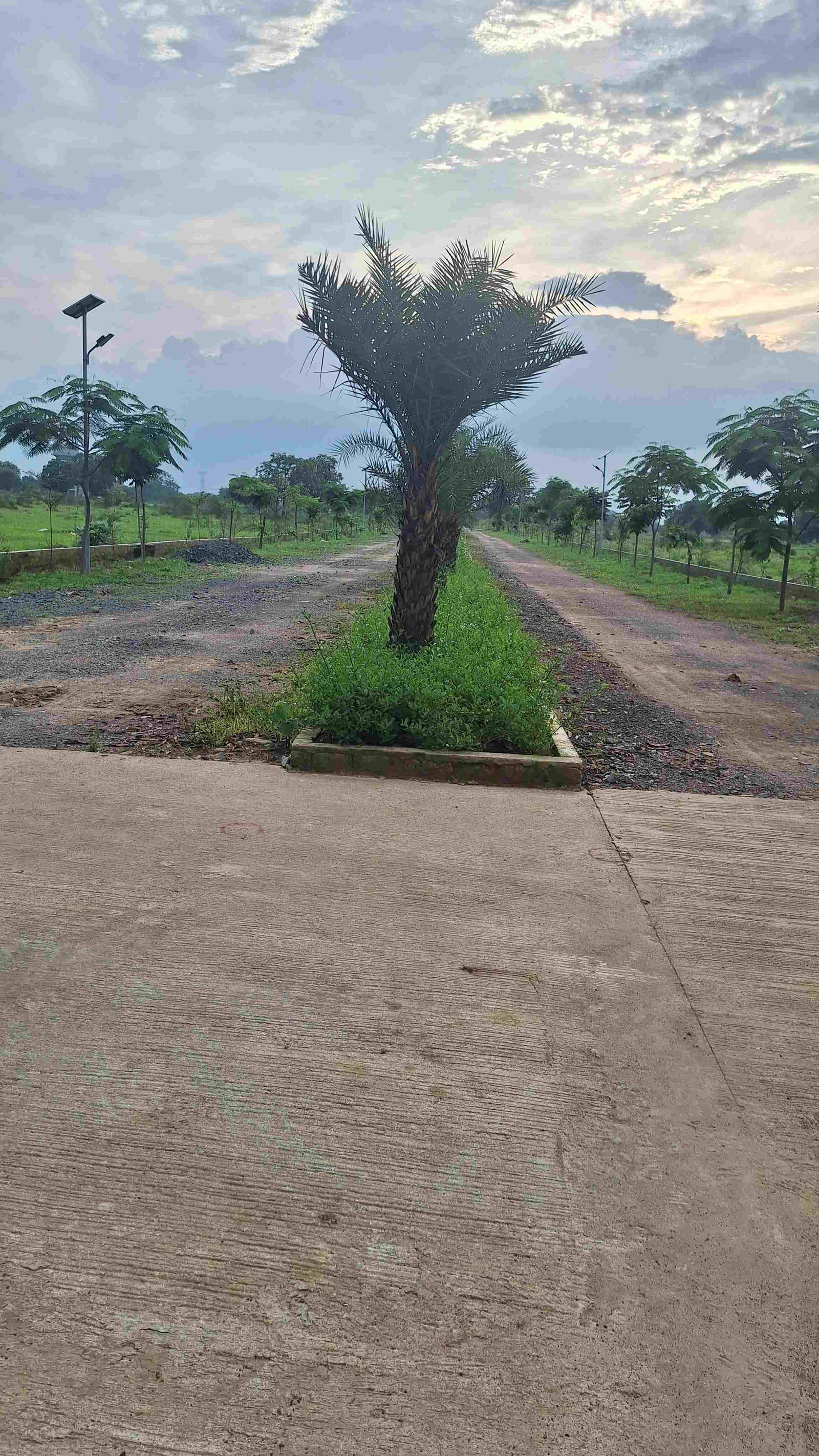 SAI MAYA