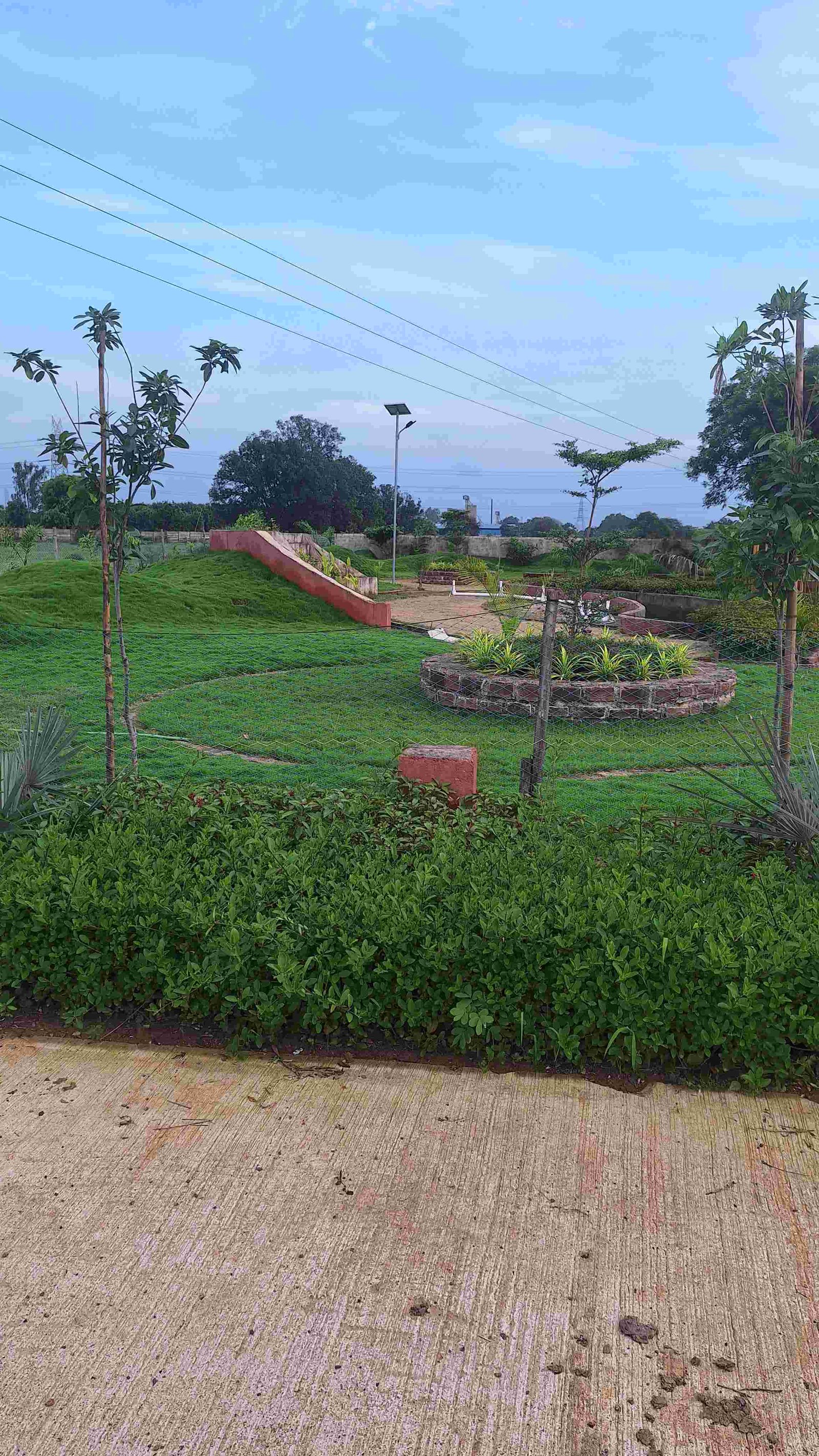 SAI MAYA